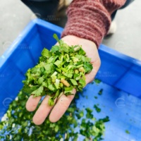 Machine à couper les oignons industrielle, moteur électrique, acier inoxydable, grande capacité, machine à trancher les légumes et les fruits pour usage en boulangerie