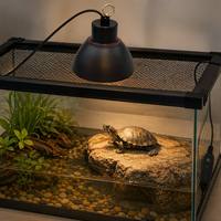 Lampe chauffante pour reptiles UVA UVB à spectre complet avec minuterie et variateur d'intensité 25W 50W 75W pour tortue, lézard, terrarium