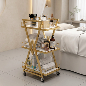 Z Stainless Steel Frame Rolling Barber Cart Waterproof Rose Gold <b>Trolley</b> Salon Furniture for Hair Kitchen Modern Design - Product Image 1