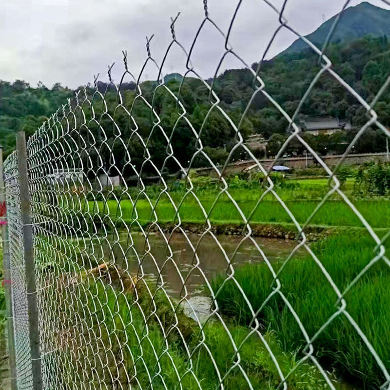 10ft Chain Link Fence 100ft 6ft 8ft Pvc Coated Wire Mesh Galvanized Diamond Custom Specifications for Sale