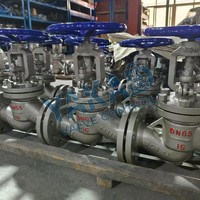 Vanne à soupape en acier inoxydable 316L/304/CF8M/CF3M/Alloy20 2"/4"/6"/8" DN50/DN100/DN150/DN200 Classe 300 RTJ à soufflet