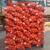 Cebolla Roja y Amarilla Fresca de Nueva Cosecha 2026, Tamaños de 5-8 cm, Bolsa de Malla/Caja de Cartón de 10 kg/20 kg, Precio de Mayoreo Directo de Fábrica
