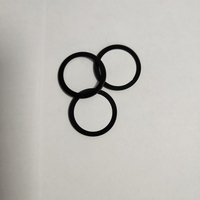 Painted Optical Lens Plano Concave Diameter 22mm Customization OEM ODM for Camera Telescope Optics Instruments