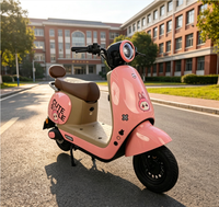 Véhicules électriques à deux roues pour loisirs en plein air, avec une structure renforcée et une capacité de charge élevée, adaptés aux adultes