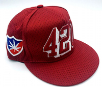 Gorra de béisbol personalizada con bordado 3D, malla transpirable, visera plana, tela de jersey, estructurada, estilo hip hop, streetwear, gorra de equipo.