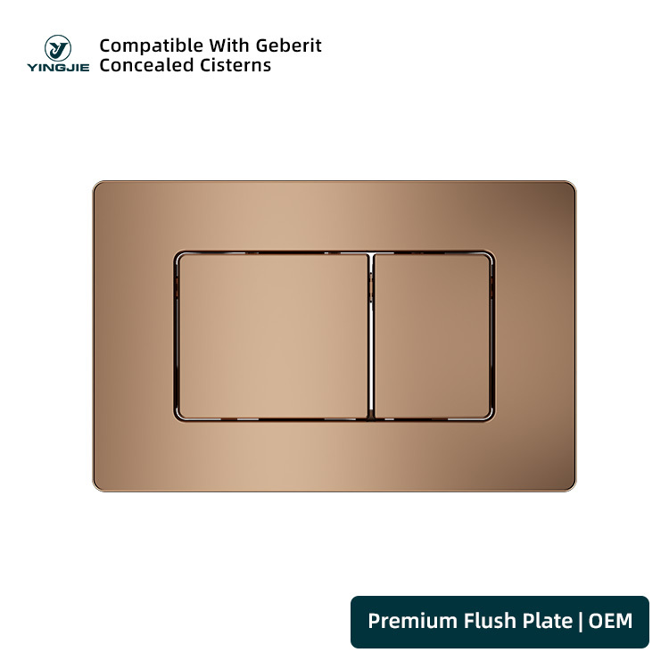 Cistern Hidden Toilet Dual Flush Plate