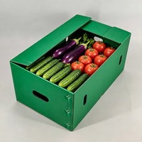 Conteneur logistique pliable en plastique robuste pour semis agricoles, empilable, emboîtable et recyclable, idéal pour les œufs