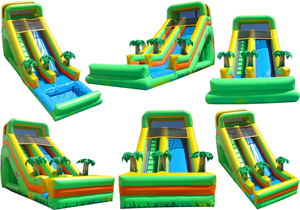 Structure gonflable commerciale avec toboggan aquatique, jeux de palmiers, château gonflable, toboggan pour enfants, utilisation extérieure, toboggan sec et aquatique - Product Image 6