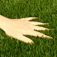Gazon artificiel, tapis de gazon, clôture périmétrique, gazon synthétique vert, revêtement de sol extérieur, terrasses décoratives, jardins, HDPE, respectueux de l'environnement, anti-UV