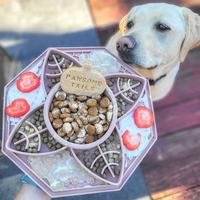 Alas Licking Anjing Silikon Fleksibel Bentuk Bunga, Slow Feeder untuk Anjing, Alas Licking Hewan Peliharaan Silikon Custom, Grosir Alas Licking Bentuk Khusus