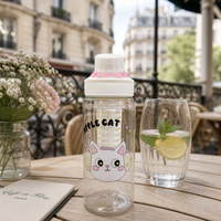 Bouteille d'eau infusée aux fruits avec logo personnalisé, infuseur amovible, imprimé pomme cartoon, anti-fuite, pour enfants et école