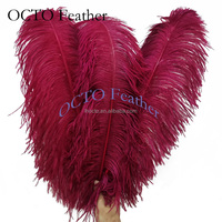 Premium 60-65cm 24-26in Grandes plumes d'autruche rose fuchsia pour la décoration de fête de mariage