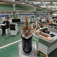 Cable XLPE reticulado con núcleo de cobre de fábrica, Cable ignífugo subterráneo con chaqueta de PVC de 0,6/cuadrado de 2X4 1kV,/1kV