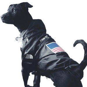 Fabricante al por mayor <span class=keywords><strong>Cool</strong></span> <span class=keywords><strong>Funny</strong></span> Dog Jacket Chaqueta de poliéster de alta calidad para mascotas para perros grandes Nuevo estilo para verano y primavera - Product Image 1
