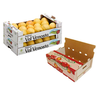 Emballage ondulé en papier pour grenade orange, boîte d'emballage en carton pour fruits et légumes, kiwi dragon