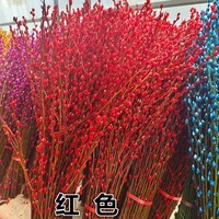 Fleurs séchées naturelles 2026 : Saule argenté (Salix Argyracea) pour la décoration du Nouvel An et du Festival du Printemps