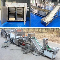 Machines industrielles pour l'ail et le gingembre, lignes de production d'oignons, équipements de traitement de la poudre de curcuma