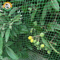 Filet anti-oiseaux en HDPE pour jardin, vente en gros, fabricant OEM, résistant aux UV, pour vergers et jardins agricoles
