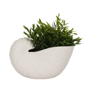 Figura Decorativa Moderna Inspirada en Conchas de Cerámica para el Hogar, Baño, Oficina, Sala de Estar - Product Image 2