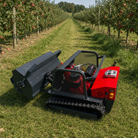RC Crawler grasmaaier met 55 graden hellingcapaciteit, 1200 mm maaibreedte voor landbouw, boomgaard, wegkant onkruidbestrijding, diesel