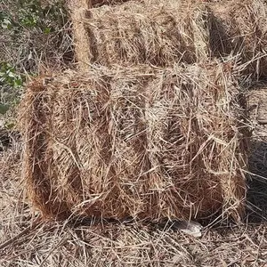 越南大米干草，大米饲料，稻草