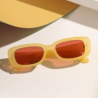 Lunettes de soleil à petite monture Lunettes de soleil rétro vintage Lunettes de soleil rectangulaires en plastique bon marché