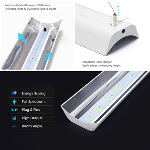หลอดไฟ LED T8 แบบรวม 72W สำหรับปลูกพืช ระดับ IP44 ให้แสง PPFD 250-350 เหมาะสำหรับปลูกผักในร่มแบบไฮโดรโปนิกส์ ช่วงการออกดอกและการเพาะเมล็ด - Product Image 3