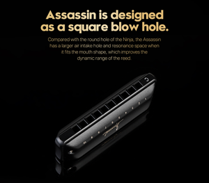 Armónica Trémolo Profesional de 10 Orificios, Cuerpo de Acero, Acabado Pulido, Tonalidad Personalizable en Do, Construcción Duradera, Marca OEM, Gran Venta - Product Image 3