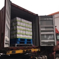 SINOLINK Matière première pour carreaux de céramique 3506100010 Scellant silicone Code HS