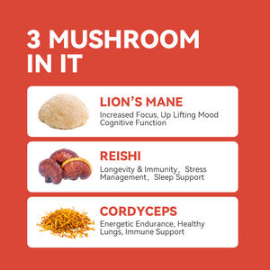 Private Label 10:<span class=keywords><strong>1</strong></span> 20:<span class=keywords><strong>1</strong></span> Leões Juba Cordyceps Cogumelo Mistura Em Pó Natural Cogumelo Maitake Duplo Extrato Em Pó - Product Image 5
