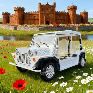 Buggy électrique rétro élégant et simple avec auvent complet pour le transport quotidien des invités dans les centres de villégiature et les zones rurales - Product Image 6