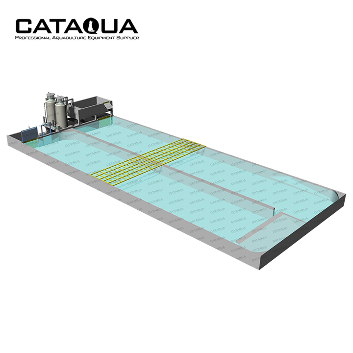 CATAQUA RACEWAY RAS System - Efficient Aqua Fish Farming