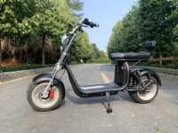 Avrupa Depo Şehri Coco E-Scooter Büyük Tekerlekli Çıkarılabilir Bataryalı Elektrikli İki Tekerlekli Araç
