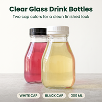 Bouteilles de lait en verre de 300 ml et 500 ml, bouteilles de boissons de 16 oz, bouteilles de jus en verre avec couvercles