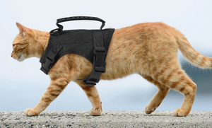 Tugas berat taktis Peet <span class=keywords><strong>Harness</strong></span> untuk layanan pelatihan rompi Premium <span class=keywords><strong>Harness</strong></span> untuk ukuran kecil hewan peliharaan kustom kucing <span class=keywords><strong>Harness</strong></span> - Product Image 6