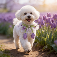Bavoir en dentelle pour animaux de compagnie avec nœud, Bandana de luxe pour chien et chat, Accessoires de cou pour animaux de compagnie pour séances photo, Vente en gros