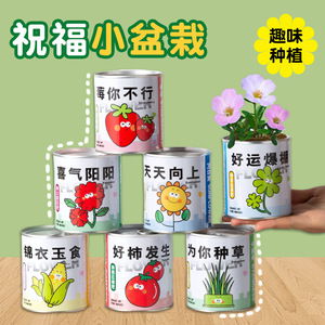 Plantas enlatadas, mini semillas de plantas verdes, decoración de escritorio DIY, regalo para niños, decoración del hogar, forma circular, impresión digital, origen Zhejiang - Product Image 4