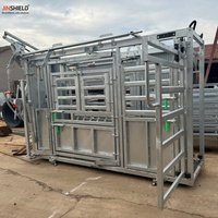 Chute d'encerclement robuste pour bétail à vendre, équipement de retenue du bétail à portillon automatique pour usage agricole