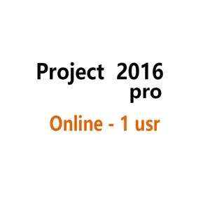 Project Professional 2016 Send By Alichat Page