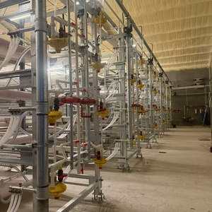 Jaula de Cría Tipo H Totalmente Automática - Product Image 3