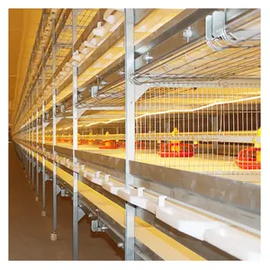 Chicken Cage Equipment China Design Automatic Broiler Battery Cages Chicken Farm Equipment For Sale