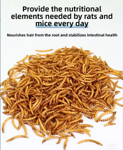 Vermi della farina essiccati ad alto contenuto proteico per uccelli cani pescano criceti e altro ancora-dolcetti per animali domestici con vitamine e minerali - Product Image 3