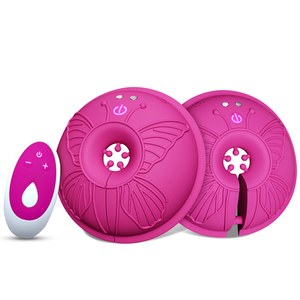 Vibratore per capezzoli, morsetti stimolatori per capezzoli, telecomando, giocattoli sessuali per adulti, massaggiatore sessuale, strumenti per il piacere femminile - Product Image 1
