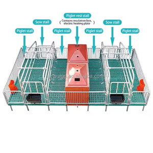 Paridera para cerdas con piso de hierro fundido galvanizado en caliente, sistema de alimentación automático, jaula profesional para cría de cerdos para granja - Product Image 1