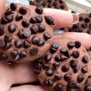 Vente en gros <span class=keywords><strong>de</strong></span> <span class=keywords><strong>biscuits</strong></span> au <span class=keywords><strong>chocolat</strong></span> sucré <span class=keywords><strong>de</strong></span> 260 g, avec des <span class=keywords><strong>pépites</strong></span> <span class=keywords><strong>de</strong></span> <span class=keywords><strong>chocolat</strong></span> colorées, <span class=keywords><strong>sans</strong></span> <span class=keywords><strong>gluten</strong></span>, faibles en gras - Product Image 1