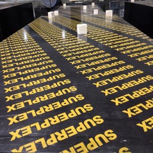 ألواح قوالب بناء خشبية معاصرة مقاومة للماء من الدرجة الأولى للاستخدام الخارجي - Product Image 6