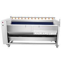 Machine à peler et à laver multifonctionnelle 100-300 kg/h, équipée d'une brosse de haute qualité