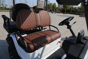 WELIFTRICH 4 + 2 2 + 2 4 Pasajeros Nuevo Todoterreno Eléctrico Ez Golf Go Truck Carrito de Golf - Product Image 2
