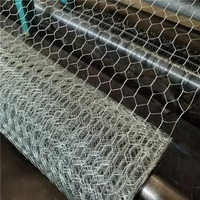 Clôture de ranch pour volailles, filet agricole réutilisable, résistant à la corrosion, en treillis hexagonal, pour zones de reproduction saisonnières de volailles