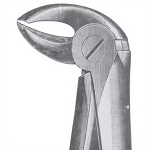 Fig. 15 Pinces d'extraction dentaire de tailles variées, instruments médicaux dentaires, prix de gros, fournisseur en gros, instruments chirurgicaux - Product Image 1